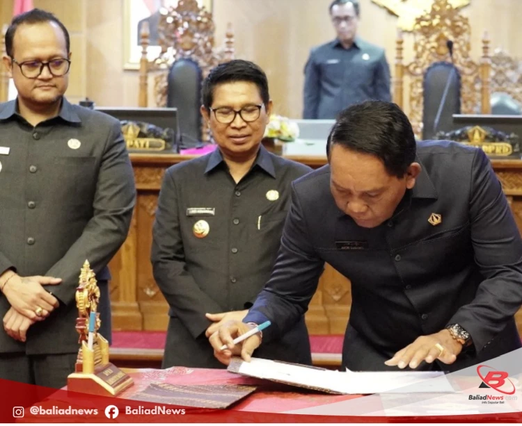Website Media Online Baliadnews