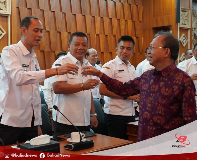 Website Media Online Baliadnews
