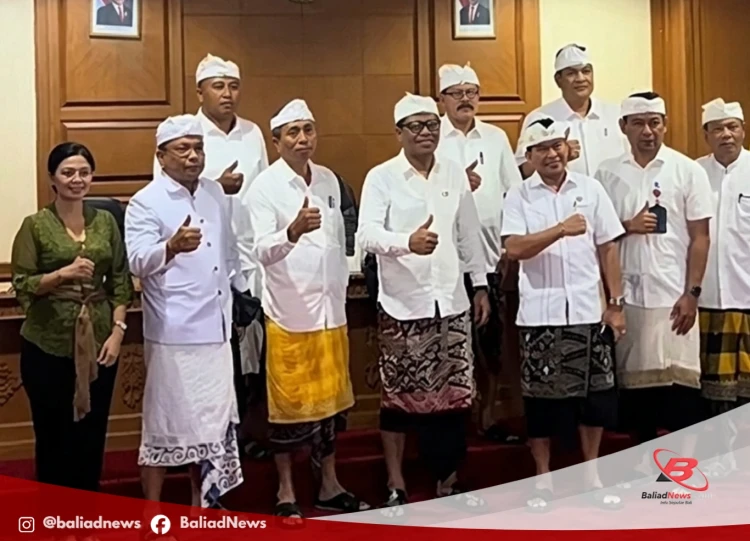 Website Media Online Baliadnews
