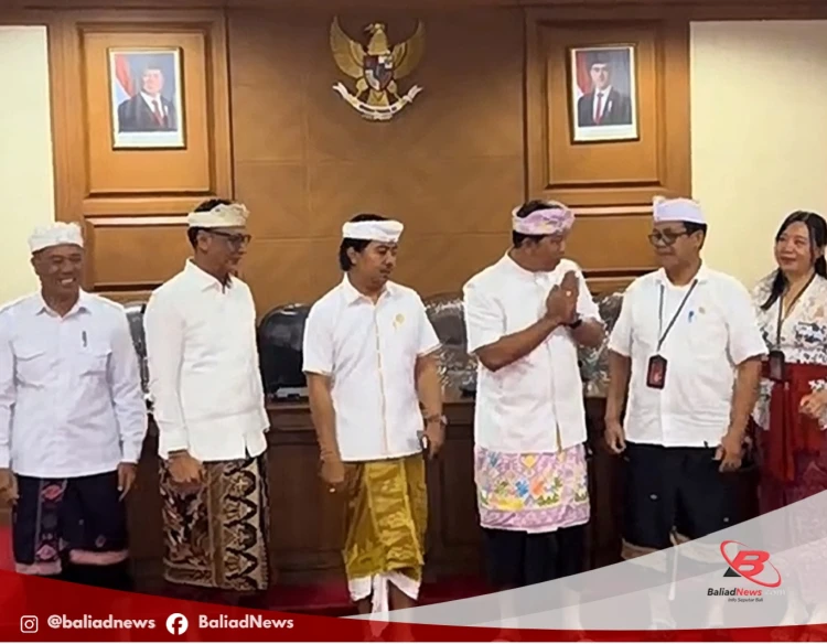 Website Media Online Baliadnews