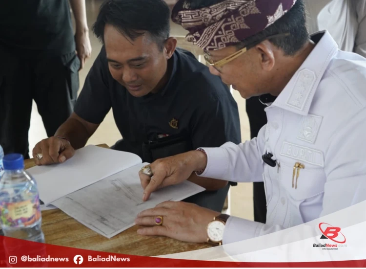 Website Media Online Baliadnews